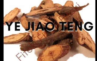 Ye Jiao Teng
