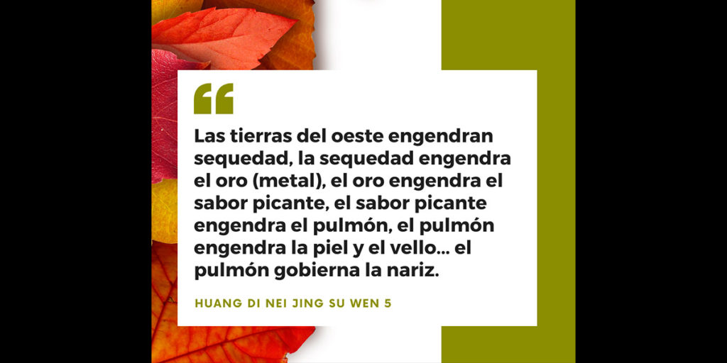 Fórmulas Otoño Fitoki