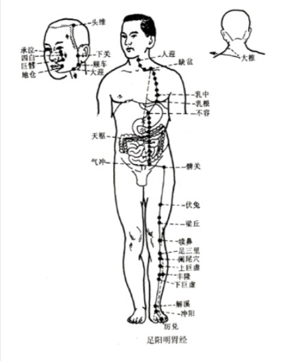Tipos de lenguas en medicina china