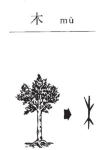 Sinograma de árbol