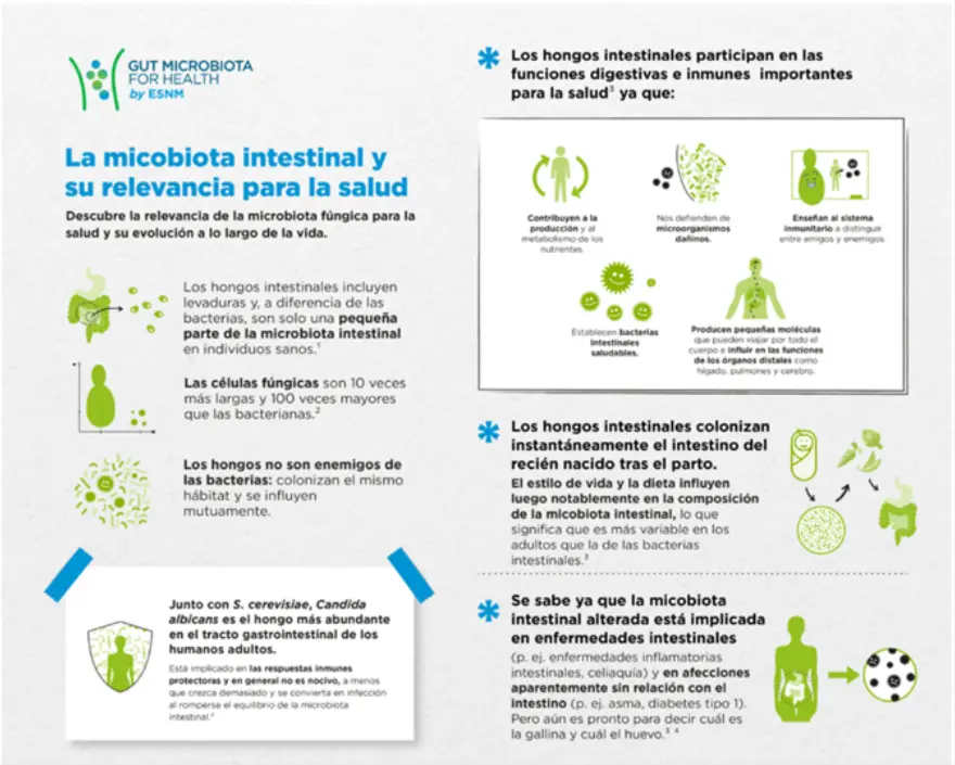 diversidad de microbiota intestinal según las personas