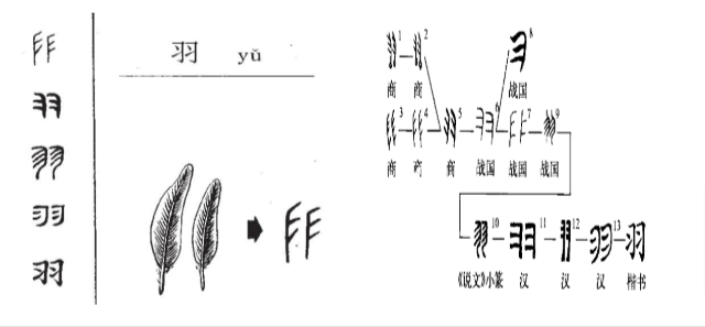 sinografologia Yu