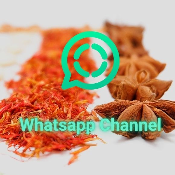 Canal Whatsapp Fitoki