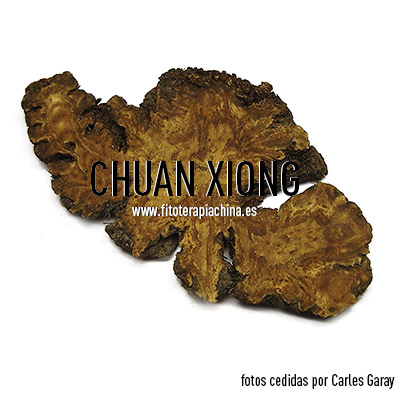 CHUAN-XIONG