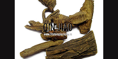 QIN JIAO plantas chinas medicinales y sus características