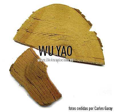 WU YAO WU-YAO