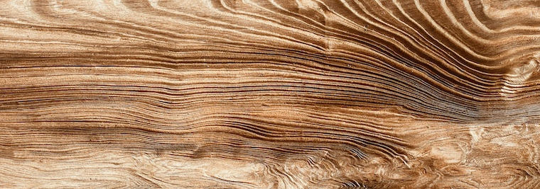 elemento madera Fitoki
