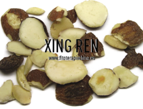 XING REN